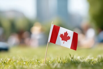 Small Canadian flag proudly displayed on grass during festive ga