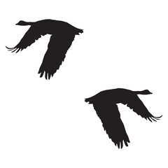 Goose Duck silhouette, Goose illustration, silhouette, Duck vector, set icon, silhouette, Goose 