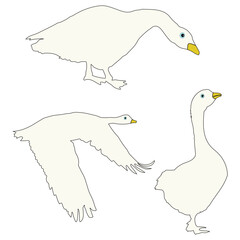 Goose Vector illustration Design Gosse vector set Duck vector, set icon, silhouette, Goose