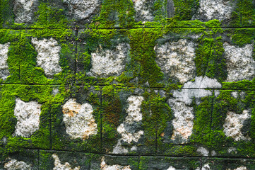 old antique stone wall covered with moss. Natural textured background