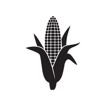 Corn silhouette vector icon design