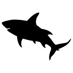 Obraz premium shark vector silhouette