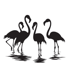 Flamingo Bird silhouette vector, and heron vector illustration design