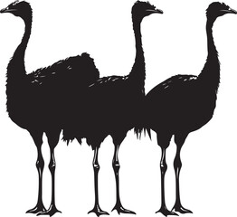 ostrich silhouette isolated on white, bird, ostrich, animal, vector, flamingo, illustration, nature, wildlife, emu, silhouette, heron, wild, white, cartoon, crane, isolated, black, beak, feather, bird