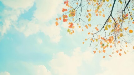 Fototapeta premium Autumnal branches and leaves against a pale sky.