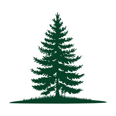 Pine tree vector illustration