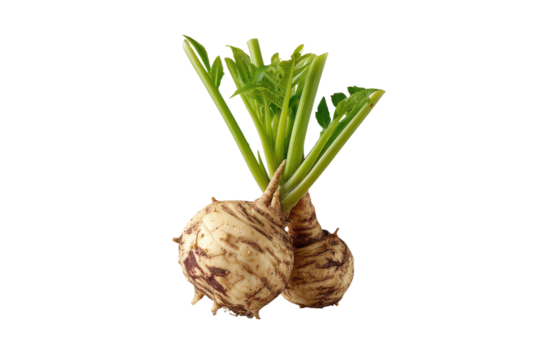 Whole fresh celeriac root with green stalks isolated on transparent background

