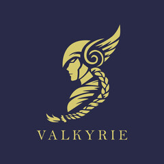 Valkyrie logo for a community or company logo