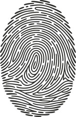 Detailed black and white fingerprint illustration showcasing unique identity identification patterns and design.