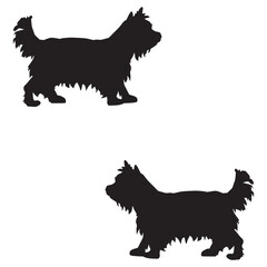 Yorkies silhouette, Yorkies illustration, silhouette, Yorkies vector, set icon, silhouette, Yorkies