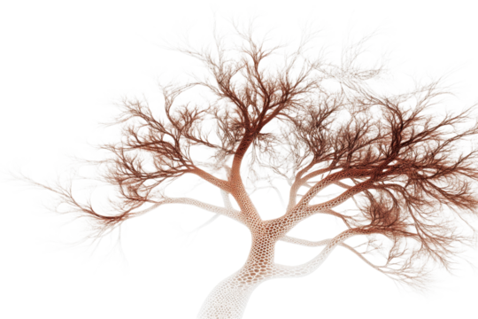 Abstract fractal tree with cellular texture, cut out transparent