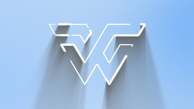 Elegant Clean Shadow Horizontal Logo Reveal 259