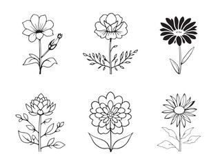 Elegant Blooming Fields Line Art Drawing for Landscape Designs