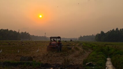 Fototapeta premium sunset in the countryside
