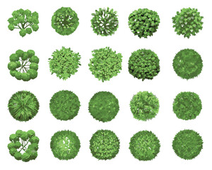 top-down view of  landscape plan and architecture layout drawing, a collection of various green shrubs and bushes,  mix of rounded, spiky, and irregular forms