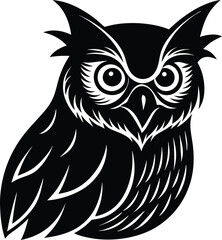 owl on white background