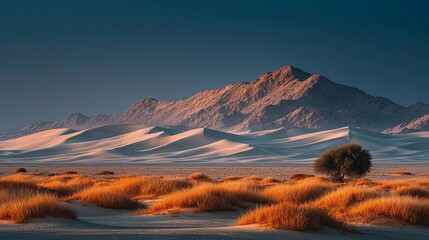 Desert Sand Dunes/砂漠の砂丘2