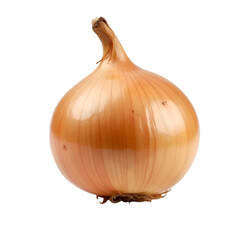 onion isolated on transparent background