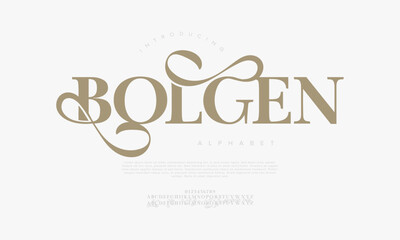 Graceful serif font with bold strokes and ornamental swashes, ideal for elegant posters, logos, and creative branding