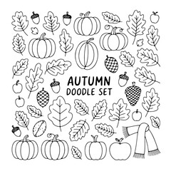 Set of autumn doodle on white background. Hand drawn abstract doodle isolated on white background.