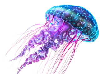 Glowing Jellyfish with Tentacles in Deep Sea, cut out transparent