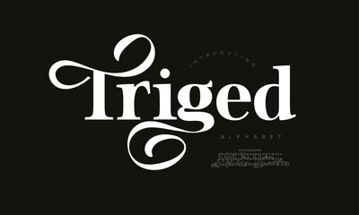 Fototapeta premium Bold decorative serif font with stylish swashes and elegant curves, perfect for luxury branding, editorial and creative poster designs