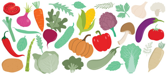 Fresh vegetables cartoon organic design elements set  isolated on white background.