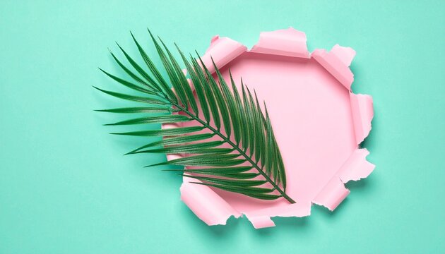 Palm tree against pastel pink torn paper and aquamarine green background. Summer holidays, beautiful exotic destinations. - Powered by Adobe
