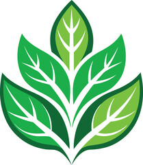 green leaves vector