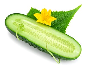 Halved Cucumber with Yellow Flower and Leaves