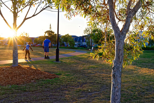 Father and son roller skating at a park at sunset with sunflare, golden hour