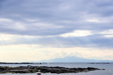 水平線に遠く富士山が見えている。
荒井浜海岸三浦市神奈川県-2024
