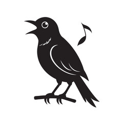 Spangled Cotinga Perched In Singing Position Silhouette