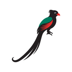 Resplendent Quetzal Perched Silhouette In Mist