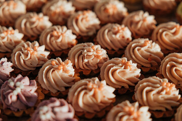 Sweet Cupcake Delight: A Colorful Dessert Display