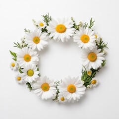 Obraz premium White daisies arranged in a wreath frame, isolate on white background.