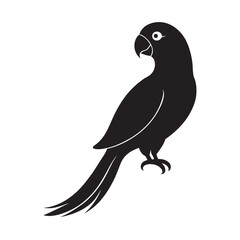 Sun Conure Sitting Upright With Tail Fanned Out