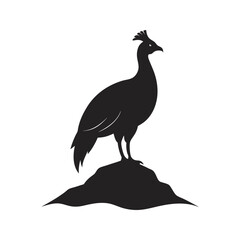 Himalayan Monal Standing On Rocky Mountain Perch