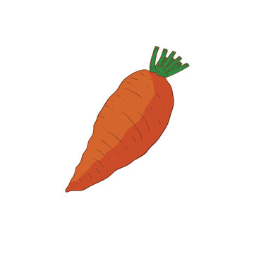 Mangelwurzel vegetable flat design cartoon icon illustration