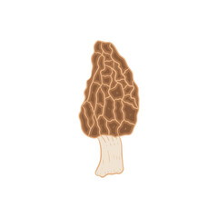 Morel mushroom vegetable flat design cartoon icon illustration