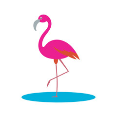 Flamingo Standing Silhouette Against Sunset Backdrop