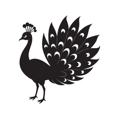 Peacock Spreading Tail Feathers Silhouette In Forest