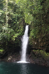 Obraz premium Afu Aau Waterfall/Olemoe Falls in Savai'i Island