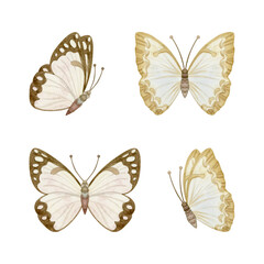 Pastel beige brown butterflies watercolor illustration set isolated on white. Simple hand drawn flying insects for cute monochrome designs