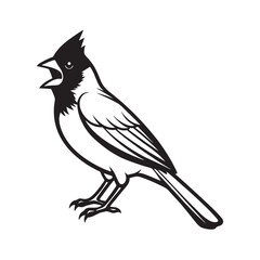 Northern Cardinal Perched And Singing Silhouette