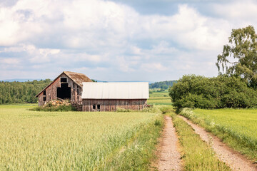 Dirt road to an old barn in bad conditions in the countryside
