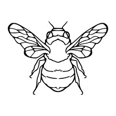 buzzing bee vector art