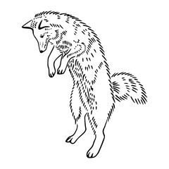 hand-drawn standing wolf graphic
