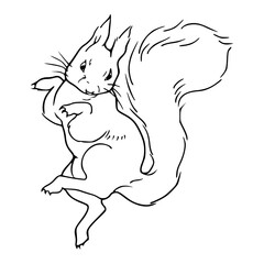 hand-drawn squirrel
