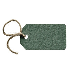 Png of A blank green paper tag with a rustic twine for hanging, perfect for gifts or labeling items.